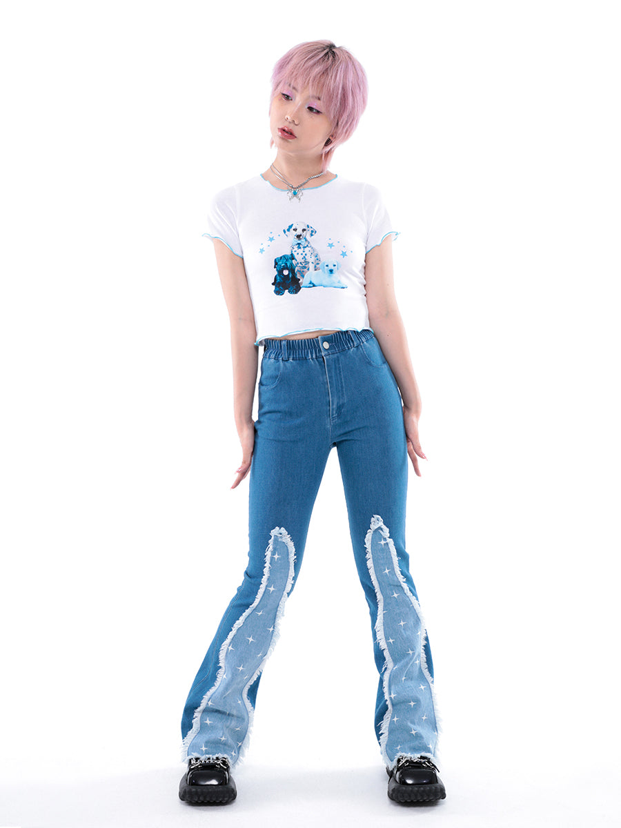 스타 패널 프레이드 진