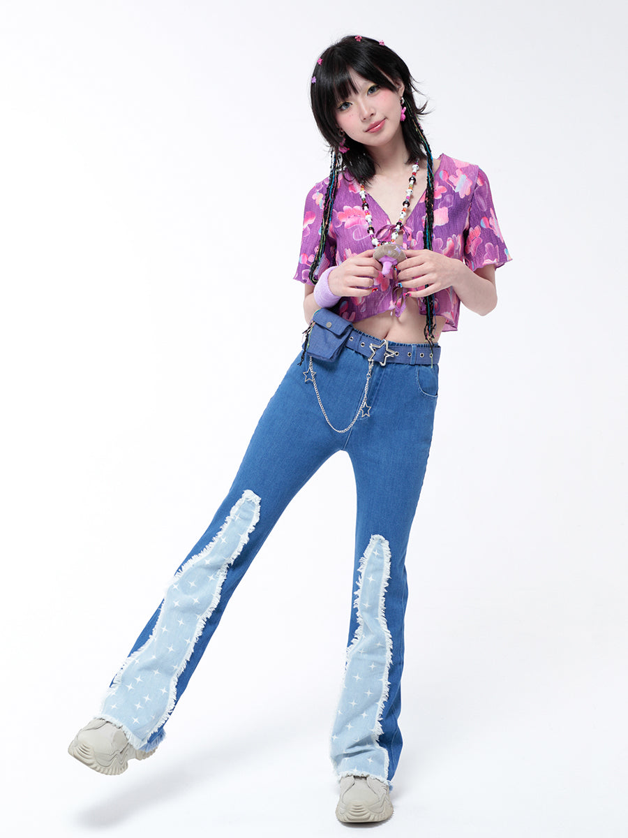 스타 패널 프레이드 진