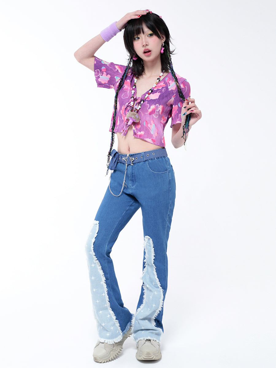 스타 패널 프레이드 진